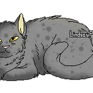 Escargot Gris Wiki La Guerre Des Clans Fandom