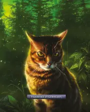 Étoile du Tigre dans 