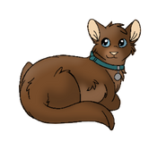 Fallowfern Domestique.png (36 kio) Version chat domestique