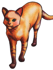 Sacha2.png