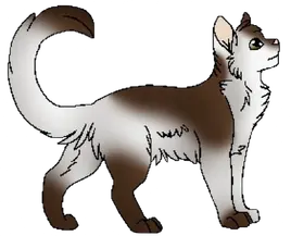 Cœur de Brise line chatte errante