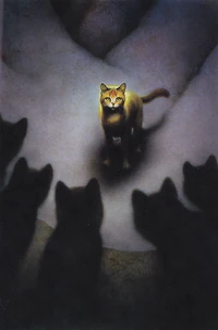 Étoile du Tigre (dOalL) dans 