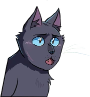 Museau Cendré.TPB-3