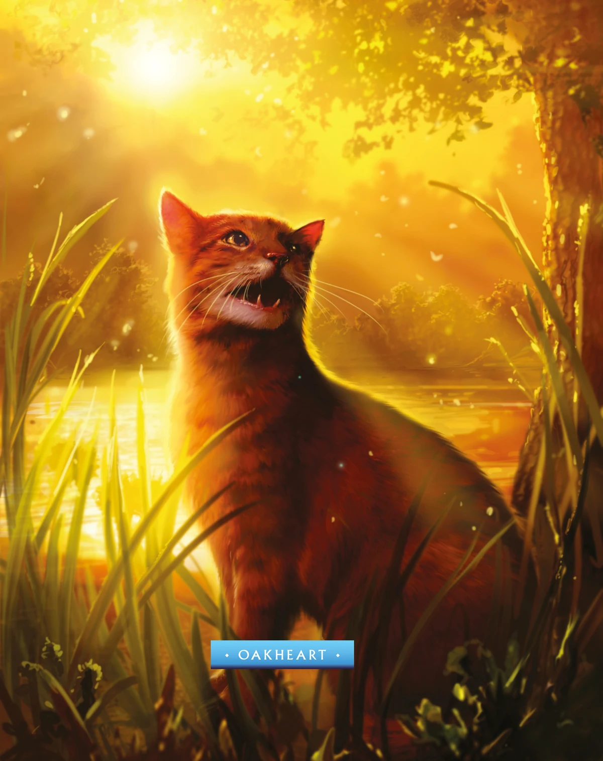 Cœur de Chêne | Wiki La guerre des Clans | Fandom, image size:1200x1515