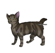 Stumpytail.png (59 kio) Version guerrier