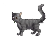 Version apprentie guérisseuse