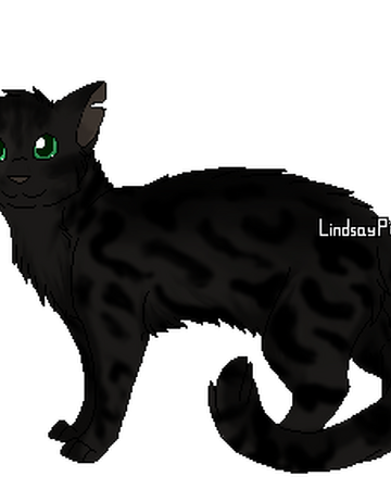 Patte De Leopard Wiki La Guerre Des Clans Fandom Patte De Leopard Wiki La Guerre Des Clans Fandom