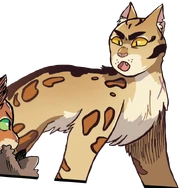 Étoile du Léopard dans 