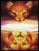 Étoile de Feu sur la couverture de 