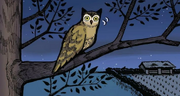 Hibou-2