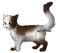 Breezepaw.png (45 kio) Version apprenti