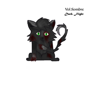 Vol Sombre.png