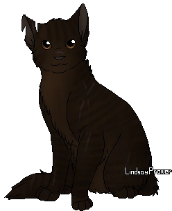 Etoile Du Tigre Wiki La Guerre Des Clans Fandom