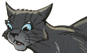 Cinderpelt