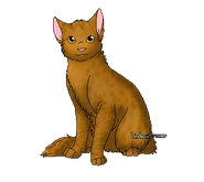 Étoile du Léopard 2.png (48 kio) Version cheffe