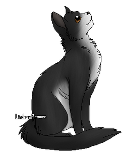 wallpapers Rhume Des Foins Dessin rhume des foins wiki la guerre des