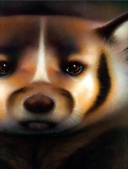 Image officielle de Minuit, un blaireau