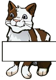 Nuage de Mousse dans 