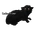 Petit Nénuphar
