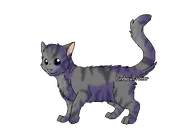 Version apprentie guerrière