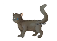 Nuagedendrééapprentieguerrière.png (30 kio) Version apprentie guerrière