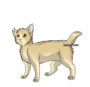 IMG 8015.png (61 kio) Version guerrier