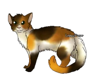 Pavotgele3.png (59 kio) Version guerrière