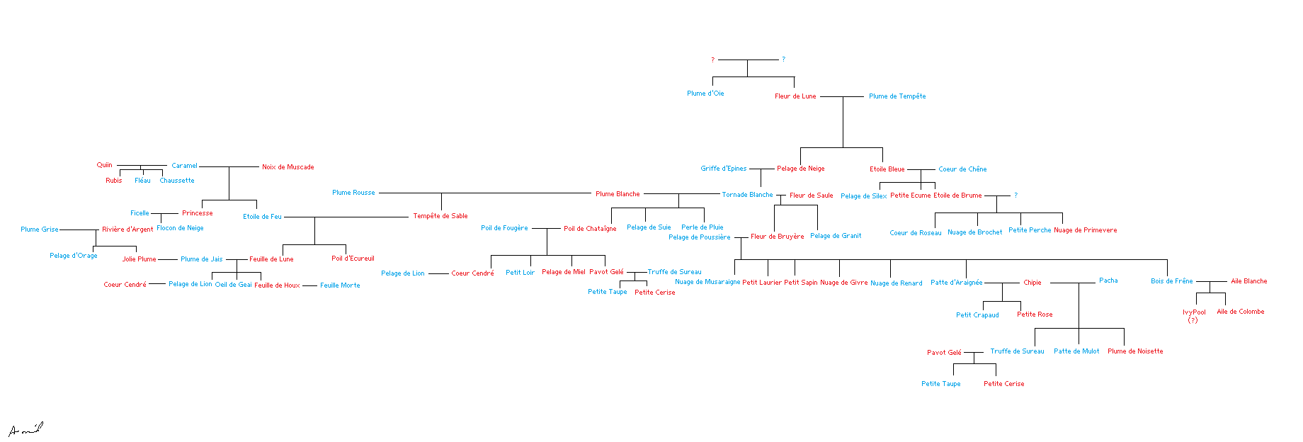 La Guerre Des Clans Arbre Généalogique D Etoile De Feu Blog utilisateur:Plume de Foudre/Un des arbres généa. les plus détaillés !  | Wiki La guerre des Clans | Fandom