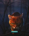 Firestar.FG-8
