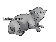 Flowerkit kit.png (13 kio) Version chaton