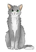 Version Clan des Étoiles