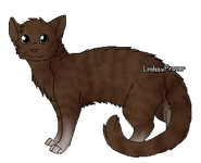 Cinnamontail.png (64 kio) Version guerrière