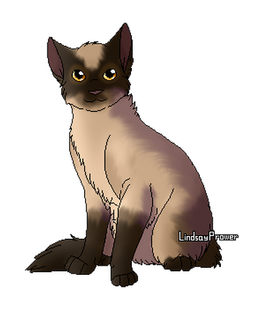 Papillon De Nuit Wiki La Guerre Des Clans Fandom Papillon De Nuit Wiki La Guerre Des Clans Fandom