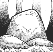 Le Grand Rocher, dans les romans illustrés