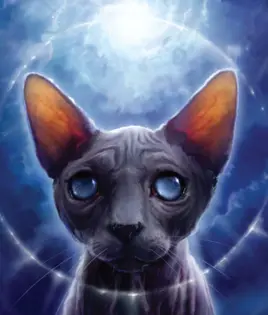 Rock (Healer).FG-888