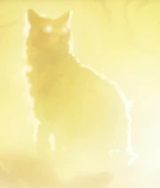 Morningkit sur la couverture de 