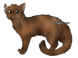 Brackenpelt