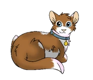 Version chatte domestique