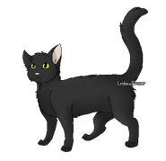 Larksong (SS).png (18 kio) Version guerrier