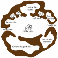 1er territoire.jpg