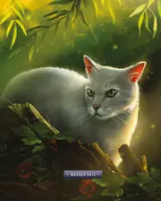 Plume d'Aiguilles dans 