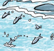 Poissons dans la rivière