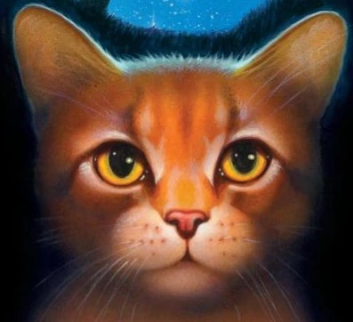 Etoile Du Tonnerre Wiki La Guerre Des Clans Fandom