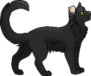 version chatte errante