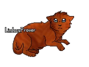 Emberkit CR.png (17 kio) Version chaton