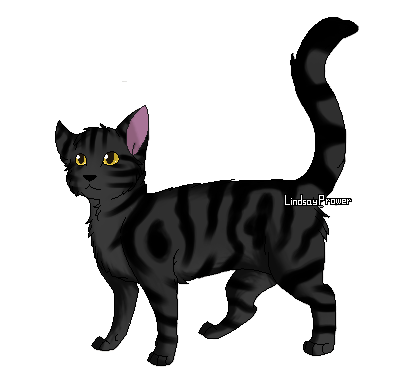 Eclair Noir Wiki La Guerre Des Clans Fandom Eclair Noir Wiki La Guerre Des Clans Fandom