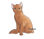 Étoile Rouge.png (62 kio) Version Chef alternatif