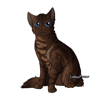 Bramblestar S Impostor Wiki La Guerre Des Clans Fandom Bramblestar S Impostor Wiki La Guerre Des Clans Fandom