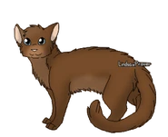 Fallowfern Guerrière.png (37 kio) Version guerrière