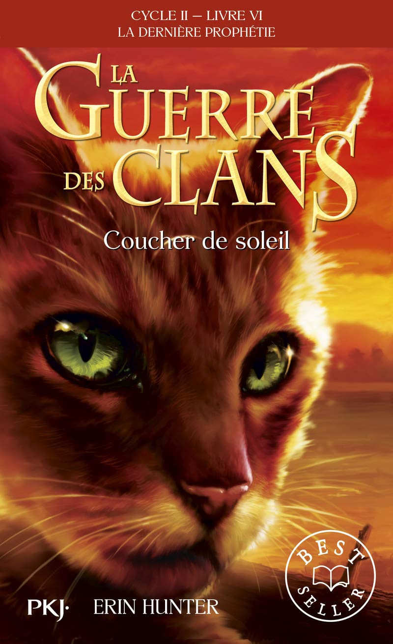 Coucher De Soleil Wiki La Guerre Des Clans Fandom Coucher De Soleil Wiki La Guerre Des Clans Fandom